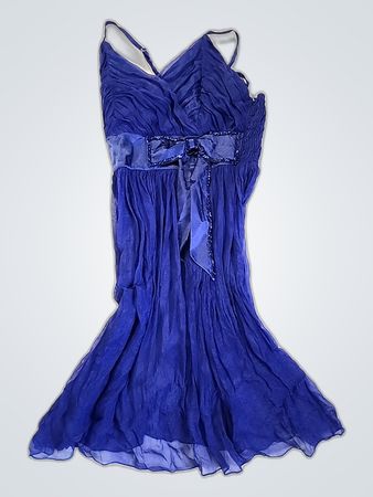 Blue Sheer Dress
