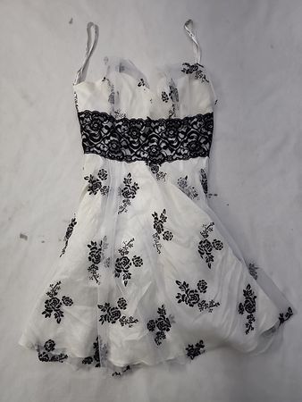 Sheer Lace Trimmed Chemise