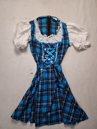 Blue Plaid Dress