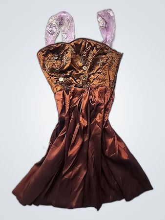 Brown Satin Dress