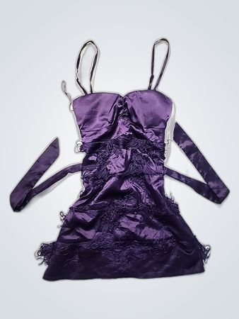 Purple Lace Corset