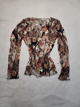 Zara Sheer Floral Blouse