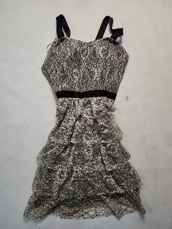 Lace Ruffle Mini Dress