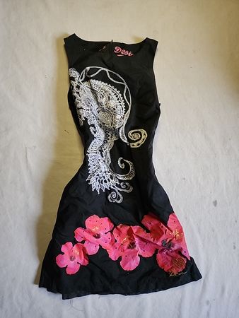 Desi Embroidered Sleeveless Blouse