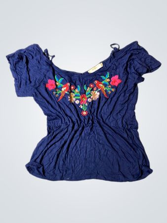 Blue Embroidered Top
