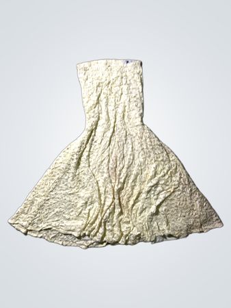Lace Skirt