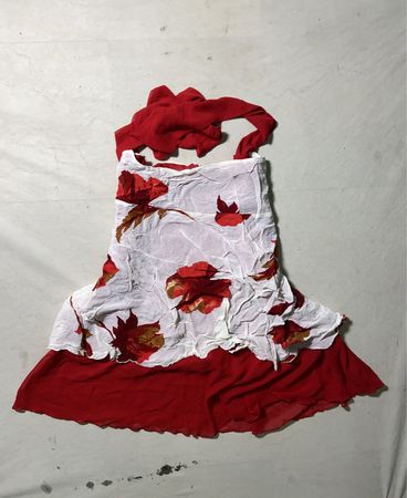 Red and White Floral Dress