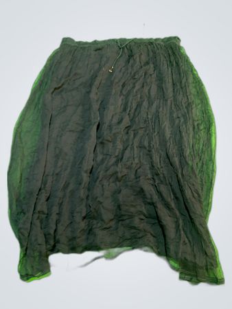 Simonia Sheer Black Maxi Skirt