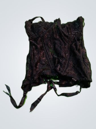 La Vie en Rose Black Lace Bustier