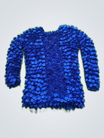 Blue Sequined Top