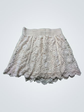 Lace Skirt