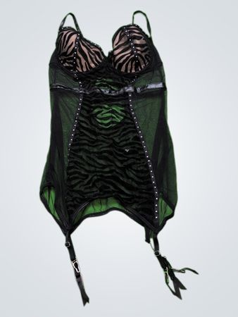 Black Sheer Mesh Bodysuit with Zebra Print Lining