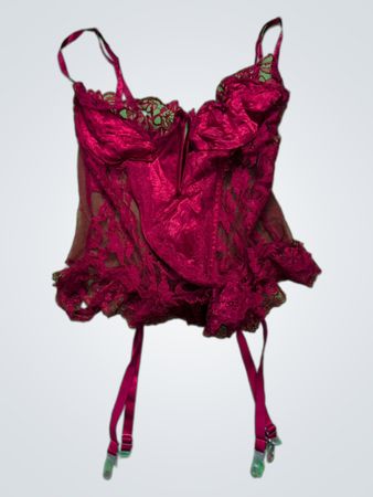 Lovers' Lane Red Lace Bustier