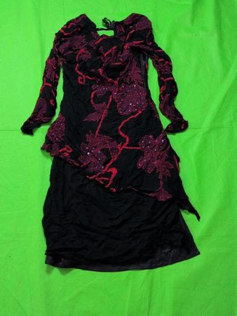 EVA BLUE Black Red Floral Embellished Dress
