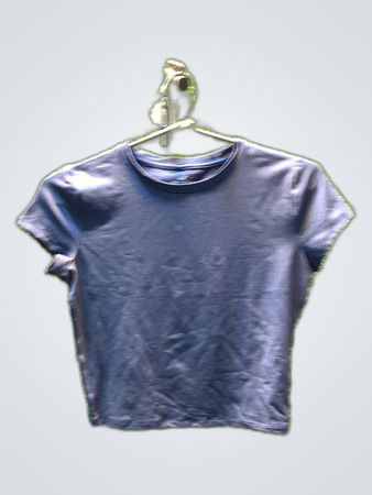 Hollister Crop T-Shirt