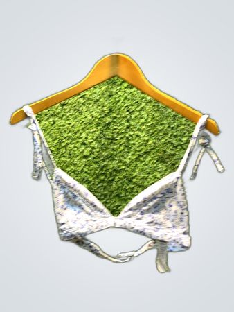 Hollister Swim Bra
