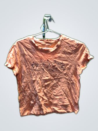 American Eagle Orange Logo Crop T-Shirt