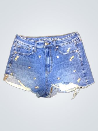 American Eagle Denim Shorts