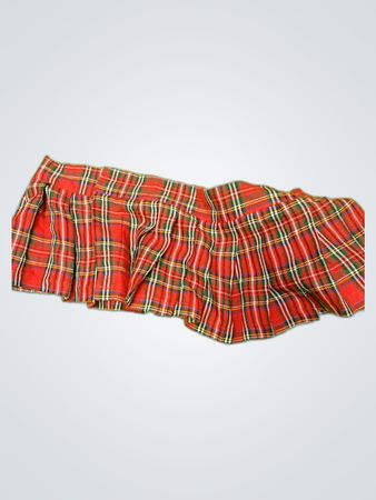 Plaid Skirt