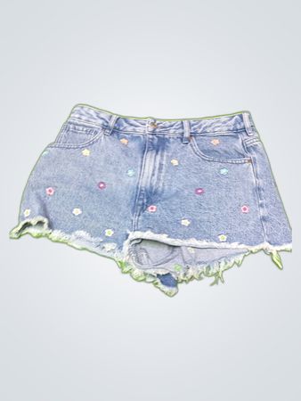 Pacsun Embroidered Denim Shorts