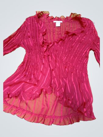 H&M Ruffled Sheer Blouse