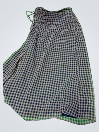 Blue and White Checkered Skirt