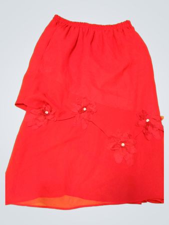 Red Skirt with Floral Details