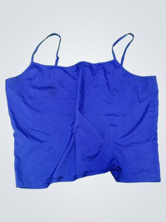 Blue Camisole