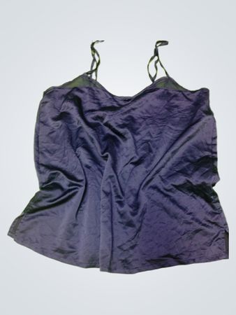 Blue Camisole