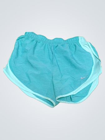 Nike Blue Running Shorts