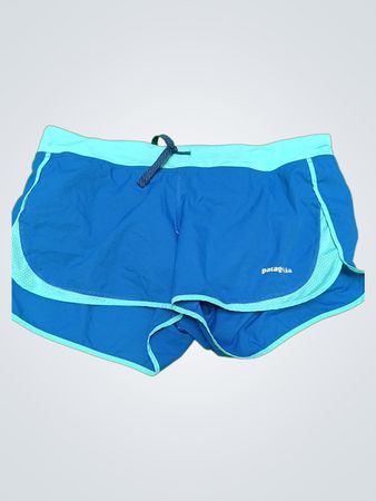 Patagonia Blue Swim Shorts