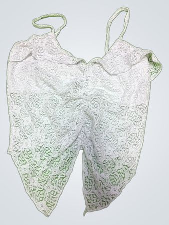 White Lace Top