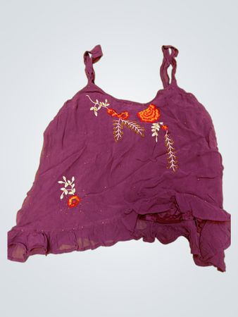 Purple Embroidered Top