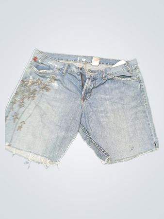 GAP Embroidered Denim Shorts