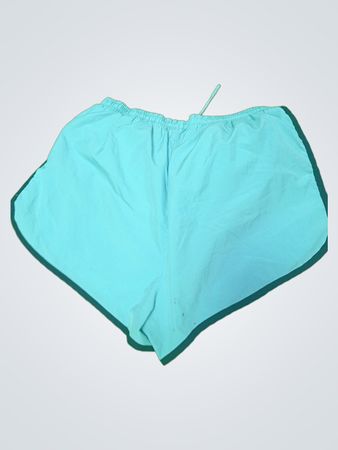 Nike Blue Running Shorts