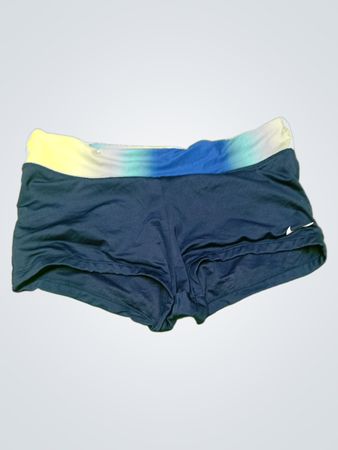 Nike Gradient Waistband Shorts