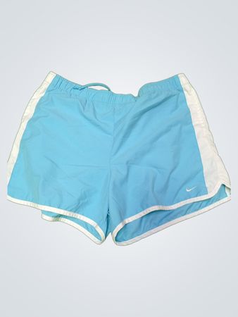 Nike Light Blue Athletic Shorts