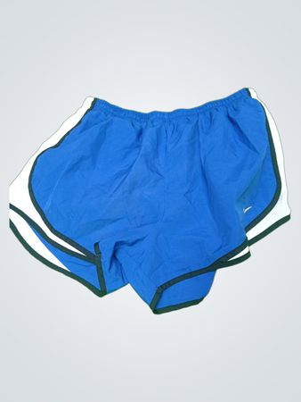 Blue Athletic Shorts