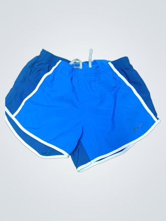 Nike Dri-Fit Blue Shorts