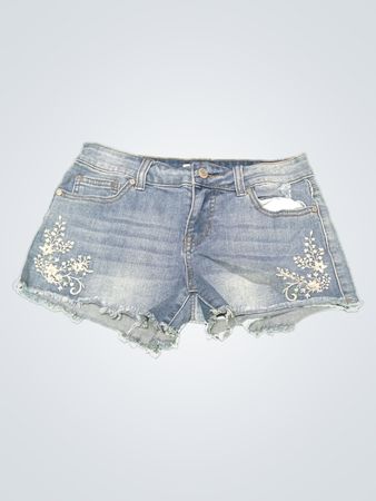 Alta Vista Denim Shorts