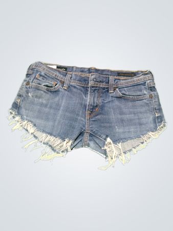 7 For All Mankind Denim Shorts