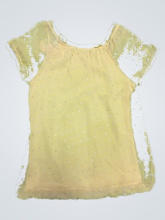 Sheer Blouse with Sequins