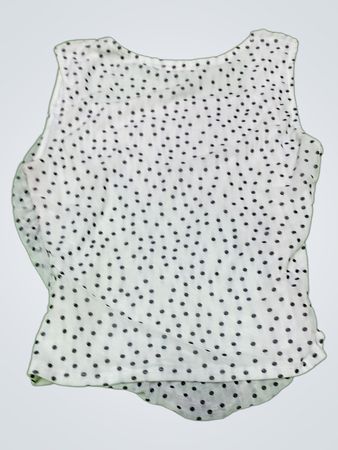 envie Polka Dot Tank Top
