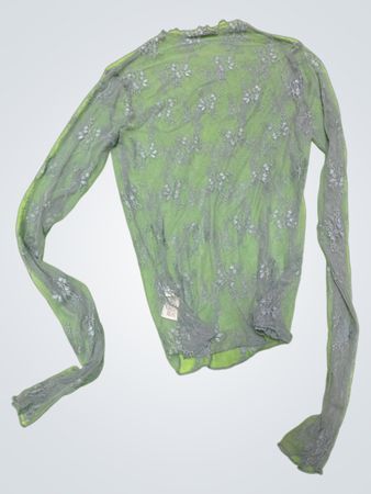 Green Sheer Long-Sleeve Top with Floral Pattern
