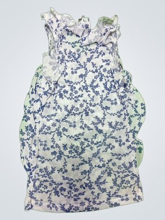 Blue Floral Ruffled Dress