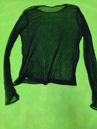 Black Sheer Long Sleeve Top