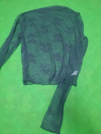 Sheer Lace Long Sleeve Top