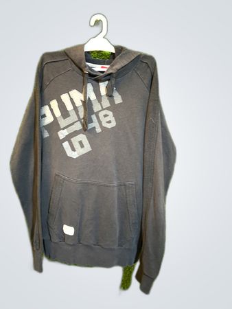 Puma PUMA 18 Graphic Hoodie