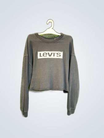 Levi's Cropped Sweatshirt