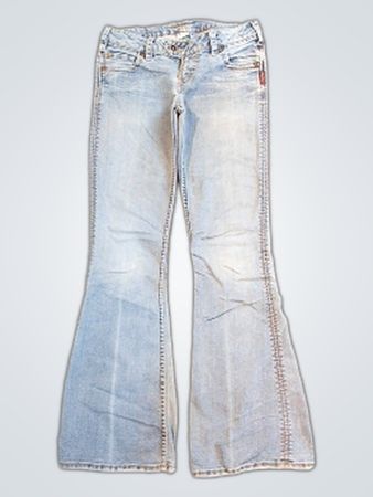 Silver Jeans Co. Women's Flare Jeans